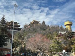 -迪庆藏族自治州博物馆