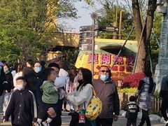 -合肥融创乐园