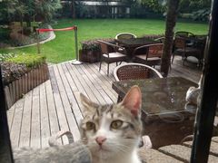 -马勒别墅·中餐厅