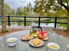 -上海共青森林公园