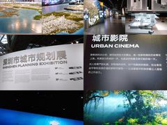 -深圳市当代艺术与城市规划馆