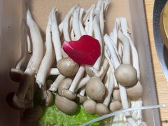 -东道煮牛肉火锅(东盛大街店)