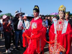 -荷兰花海
