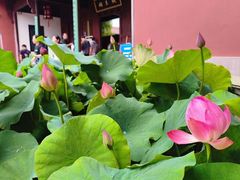 -钱王祠