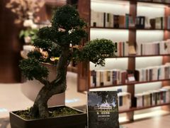 -二酉书店TOYOU BOOKS