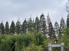 -黄海国家森林公园