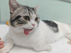 -纳吉亚猫专科动物医院博雅分院