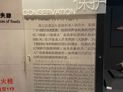-北京周口店北京人遗址博物馆