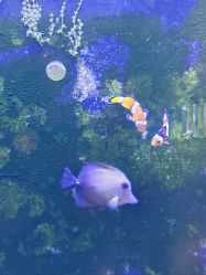 -Zoolung Zoolung动物主题公园(海信广场店)