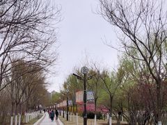 -南翠屏公园
