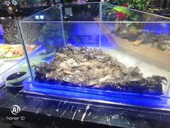 螃蟹-九寸花汀海鲜烤肉自助(中东迪克店)