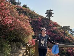 -木兰云雾山