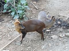 -昆明动物园