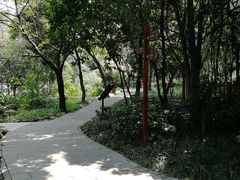 -成都市活水公园