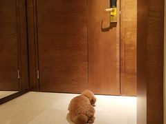 -舟山希尔顿酒店