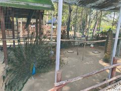 -南戴河国际娱乐中心