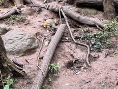-普洱太阳河森林公园