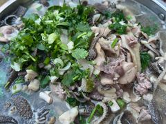 -小杨翘脚牛肉