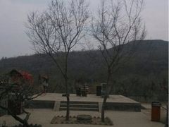 蒙山大佛-蒙山大佛景区