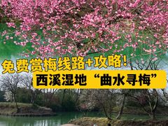 -西溪国家湿地公园