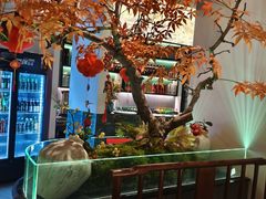 -荷塘秋月·本帮江浙菜(国权路店)