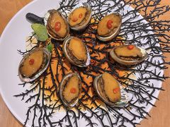 秘制腌鲍鱼-波螺油子·海肠捞饭·青岛菜(银座店)