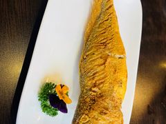 -老牌坊鲁菜名店(聊城美食岛店)