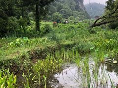 -阿哈湖国家湿地公园