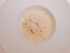 Scallop-Le Bernardin