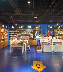 -飞览天下沉浸式飞行体验(北京旗舰店)