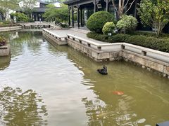 -雅达·阳羡溪山小镇中心
