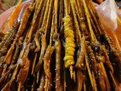 -十里铺铁板鱿鱼