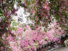 -深圳国际园林花卉博览园