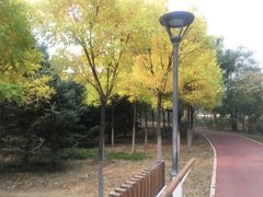 -SFC上影影城(北京大兴龙湖天街IMAX店)