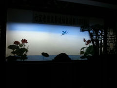 android_upload_pic-七宝皮影艺术馆