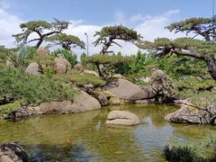 -罗红摄影艺术馆