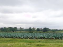 -盘龙城国家考古遗址公园