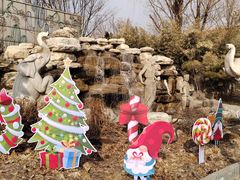 -南宫五洲植物乐园