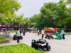 -文瀛公园