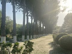 -燕郊植物园