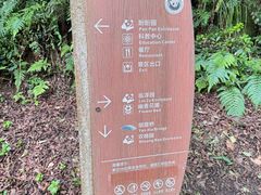 -都江堰中华大熊猫苑