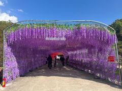 -汕尾铜鼎山旅游区