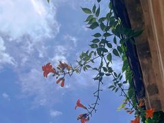 -路小缦·珍馐美馔(市心北路店)