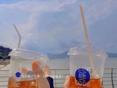 -鹿嘴山庄