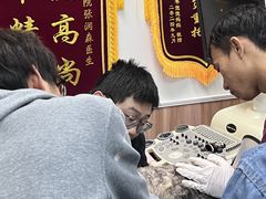 -瑞鹏宠物医院·内科·中兽医·骨科(苗圃店)