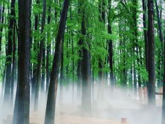 -东湖落雁景区