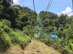 -野象谷景区