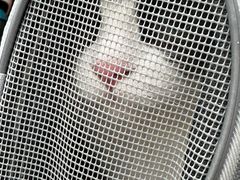 -四月宠物医院·猫专科·心脏专科·内科(转塘店)