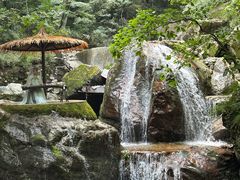 -牛背梁国家森林公园