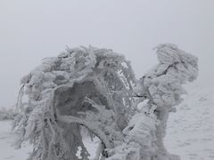 -终南山国家森林公园